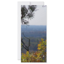 fall rack cards