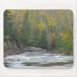 Fall Rapids