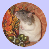 Fall Rat Stickers stickers