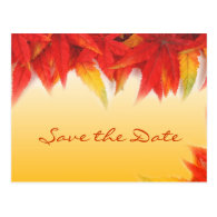 Fall red leaves wedding save the date postcards. postcard