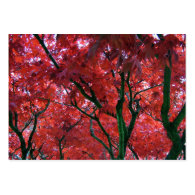 fall red maple leaves business card templates