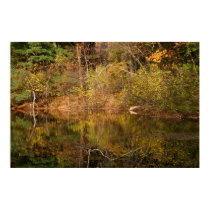 Fall Reflection '04 posters