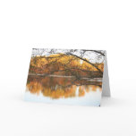 Fall Reflection cards