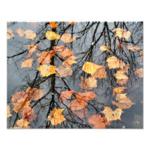 Fall Reflection Photographic Print