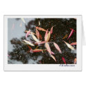 Fall Reflections cards