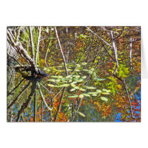 Fall Reflections cards