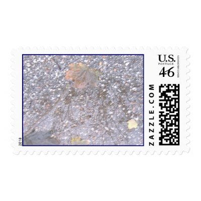 Fall Reflections Postage Stamp by Dawulf