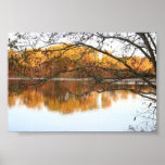 Fall Reflections Print