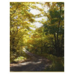 Fall road 2 custom letterhead