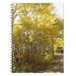 fall road notebook
