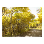 fall road postcard