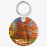 Fall Scene