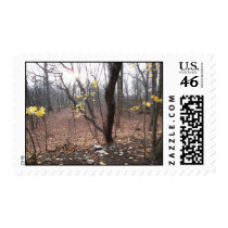 Fall Season Stamps 1