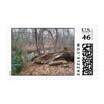 Fall Season Stamps 3