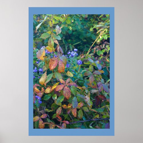 Fall Shades of Orange and Blue print