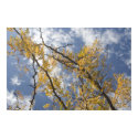 fall sky posters