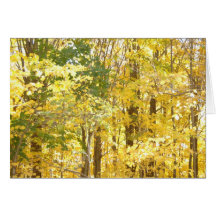 Fall Splendor Card