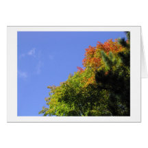 Fall Splendor Card