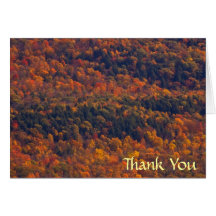 Fall Splendor Thank You Greeting Cards