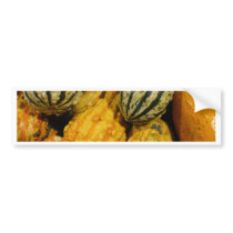 Fall Squash Bumper Sticker