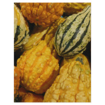 Fall Squash flyers by Debrene Fall Squash flyers