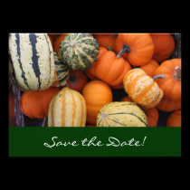 Fall Squash Harvest Save the Date Card invitations