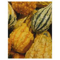 Fall Squash letterhead by Debrene Fall Squash letterhead