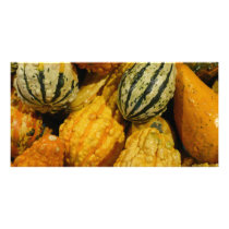 Fall Squash photo cards by Debrene Fall Squash photo cards