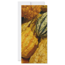 Fall Squash rack cards by Debrene Fall Squash rack cards