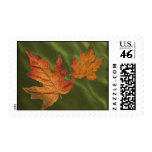 fall stamp with 2 leaves