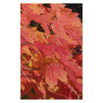 Fall stationery