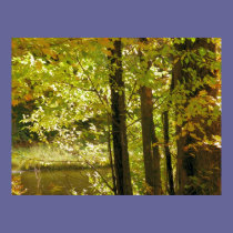 Fall Stream posters