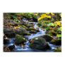 Fall stream posters