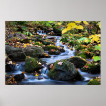 Fall stream posters