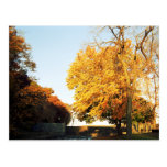 Fall Sunset Postcard