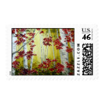 Fall Symphony Stamp
