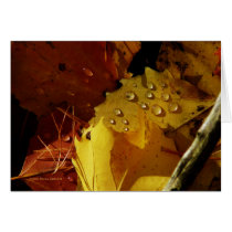 Fall Tears cards by MoiraAshleigh Fall Tears cards