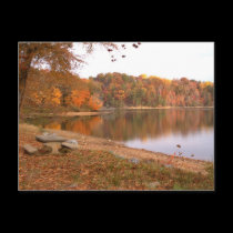 Fall time Postcard postcards