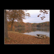 Fall time Postcard postcards