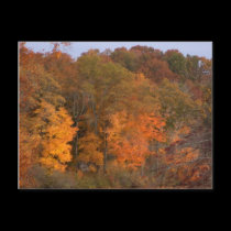 Fall time postcard postcards
