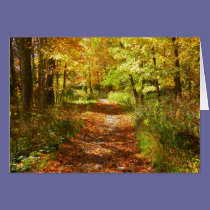 Fall Trail cards