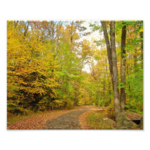 Fall Trail Photo photography
