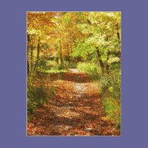 Fall Trail postcards