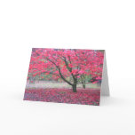 Fall Tree cards