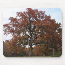 Fall Tree mousepads by bhughes1uga Fall Tree mousepads