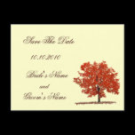 Fall Tree Save The Date postcard.