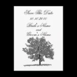 Fall Tree Save The Date postcard.