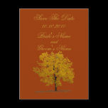 Fall Tree Save The Date postcard.