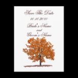 Fall Tree Save The Date postcard.