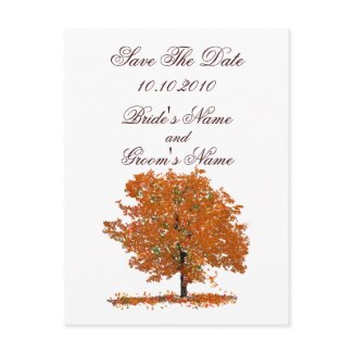 Fall Tree Save The Date postcard. postcard